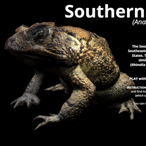 3D Storyline Simulation of a Southern Toad
